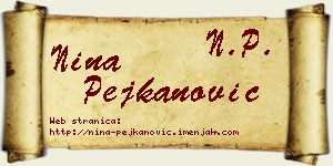 Nina Pejkanović vizit kartica
